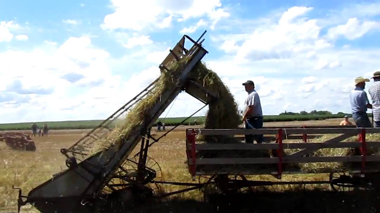 horse drawn hay loader youtube