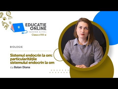 Biologie, Clasa a VIII-a, Sistemul endocrin la om: particularitățile sistemului endocrin la om