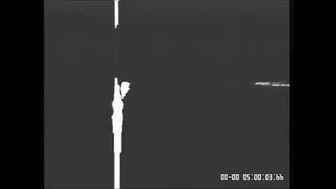 Self-assembled Nanowire Arrays as Three-dimensional Nanopores for Filtration of DNA Molecules