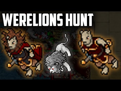 EK 206 WERELIONS - BEST places to hunt for KNIGHTS