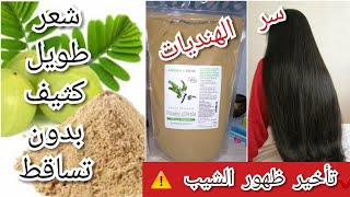 #amla #aroma_zone    بودرة أملا الهندية :السر الهندي الساحر .لشعر طويل و كثيف وبدون تساقط 👌