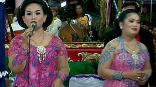 TEMBANG KANGEN all artis mudo laras live in ngepungsari