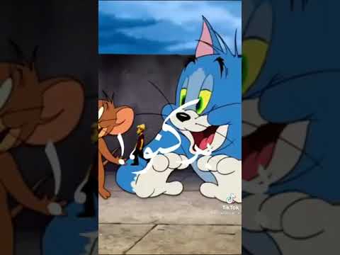 اغنية قلبى حبيب قلبى بدمنو فيديوهات جميلة