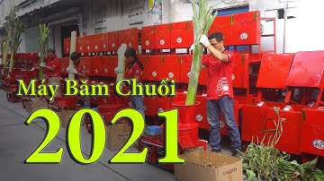 ✅Máy băm thái chuối đa năng takyo phiên bản 2021 l Băm cây chuối, cỏ voi, rau bèo cho gà, lợn, dê