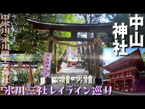 [4K]氷川三社巡り✨中山神社JP307＠埼玉県さいたま市[2024.2.20撮影]中氷川神社・氷川簸王子(ひおうじ)神社✨氷川レイライン✨