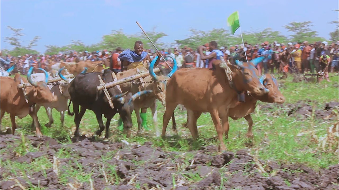 Hasira Kali - Mashaka (Official Video)