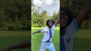 Fabregas Le Métis Noir - Gomme Afrovibrationdance