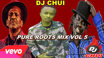 PURE ROOTS MIX VOL 5 - DJ CHUI