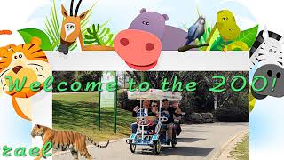 Welcome to the ZOO!