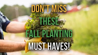 When to Start a Fall Garden (And What to Plant!)