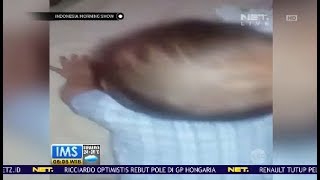 Video Kekerasan Ibu Terhadap Bayi