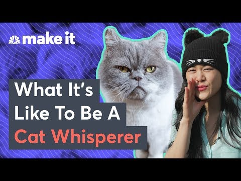 What It's Like To Be A Cat Whisperer — Money For Nothing