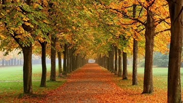 الربع الثاني من سورة البقرة قرأة هادئة ضع الهند فري واستمتع ناصر القطامي