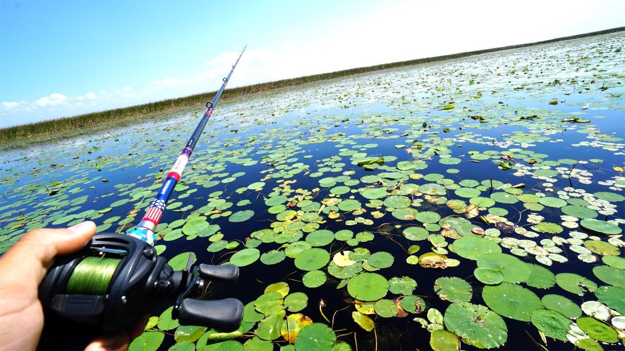 Fishing for GIANT Swamp Bass 