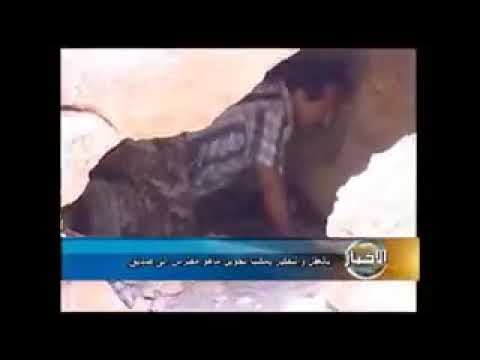 راضي عناب قاهر الضباع وذياب 0772172029