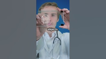 Accidental Inventions That Changed the World!