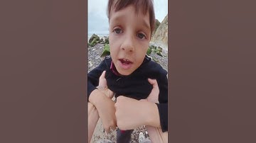 FEDUK - Пью вино (snippet 13.10.25)