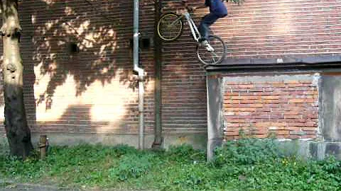 zhi z1 george stankus GAP