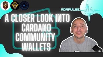 AdaPulse - A Closer Look Into Cardano Community Wallets. Best Cardano Wallet Apps