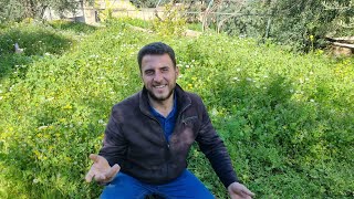شو لازم تعمل بحديقتك واشجارك مع بداية شهر 4 الرابع ؟