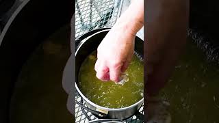 Turkey Harvest To Table Vac Sealing, Cooking, & Eating