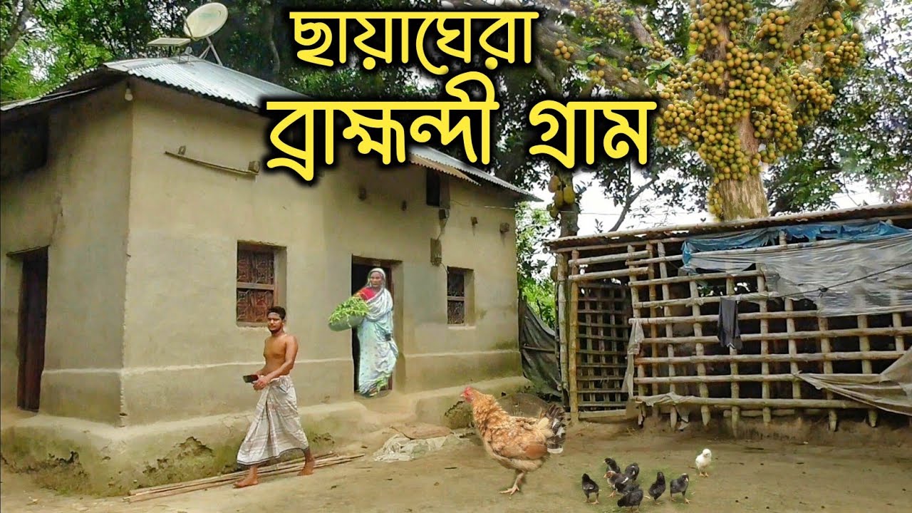 শিবপুর উপজেলার ব্রাম্মন্দী গ্রাম | Shibpur upazila || Bangla Documentary