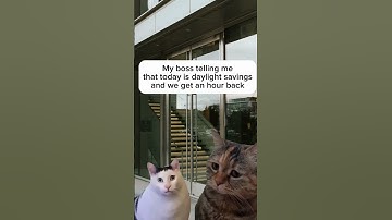 Daylight Savings