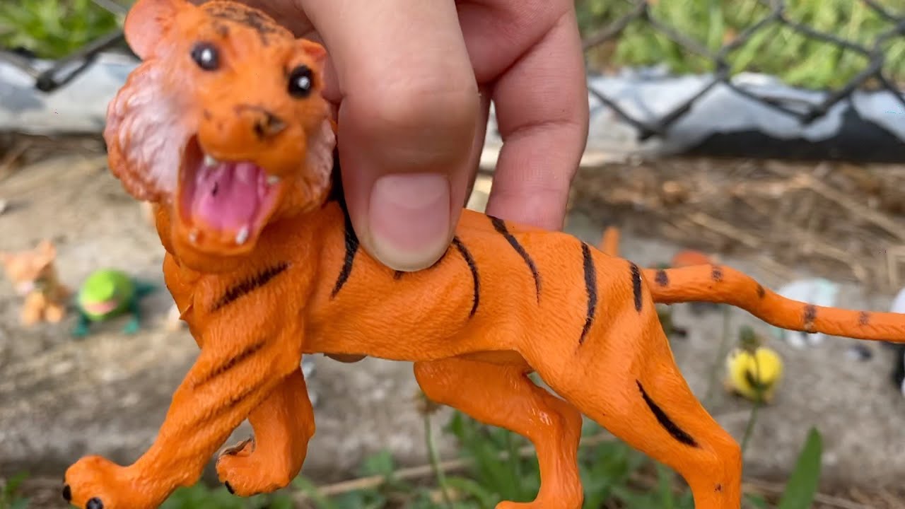 My animal toys YouTube