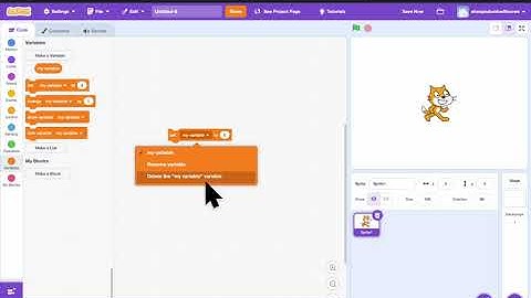 How to delete My Variable