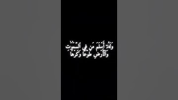 سورة آل عمران الآية 83 - ياسر الدوسري .