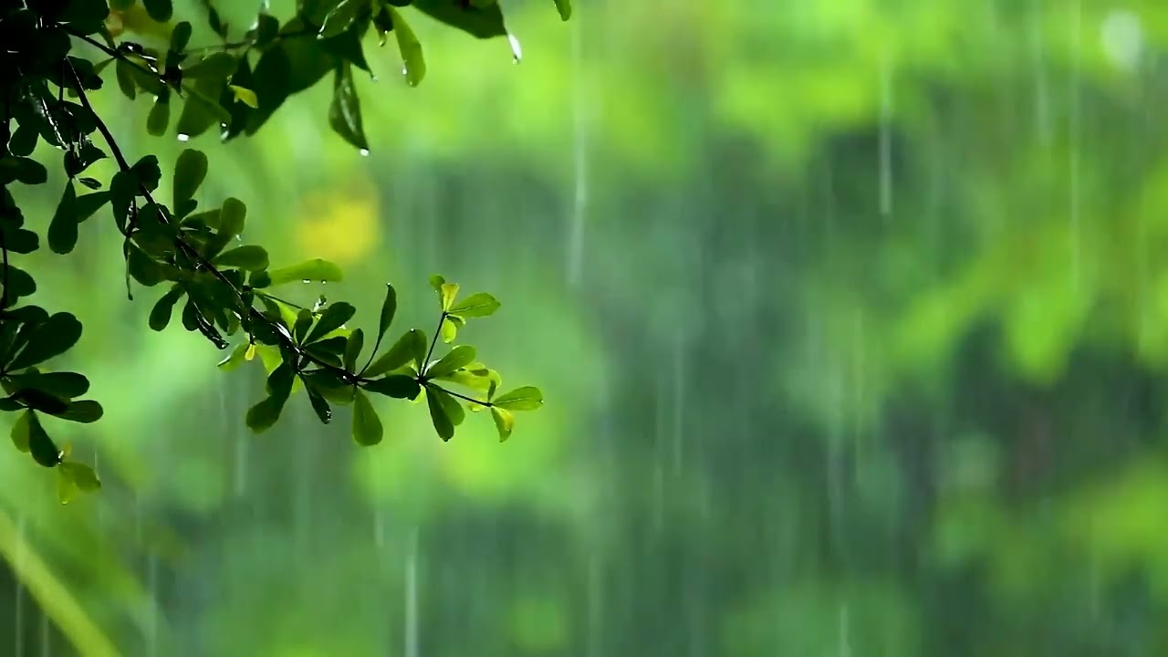 Rainstorm White Noise 10 Hrs for Sleeping, Relax, Study, insomnia, Reduce Stress. Heavy Rain Sounds