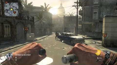 Black Ops Commando Perk