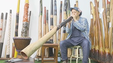 Jesse lethbridge Didgeridoo Key of D# Web code 8142