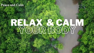 Peace and Calm Your body With Euphony Sounds | Meditation