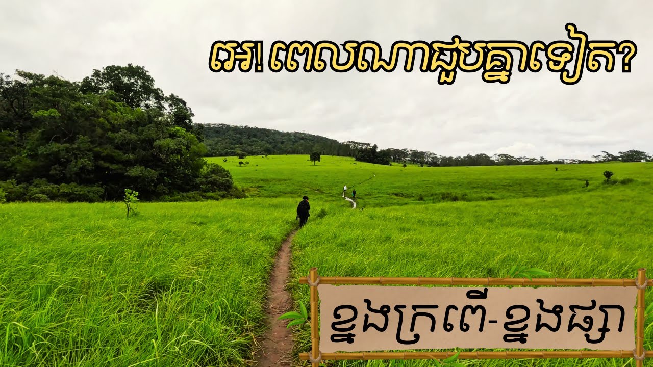 ខ្នងក្រពើ-ខ្នងផ្សា រដូវផ្ការីក