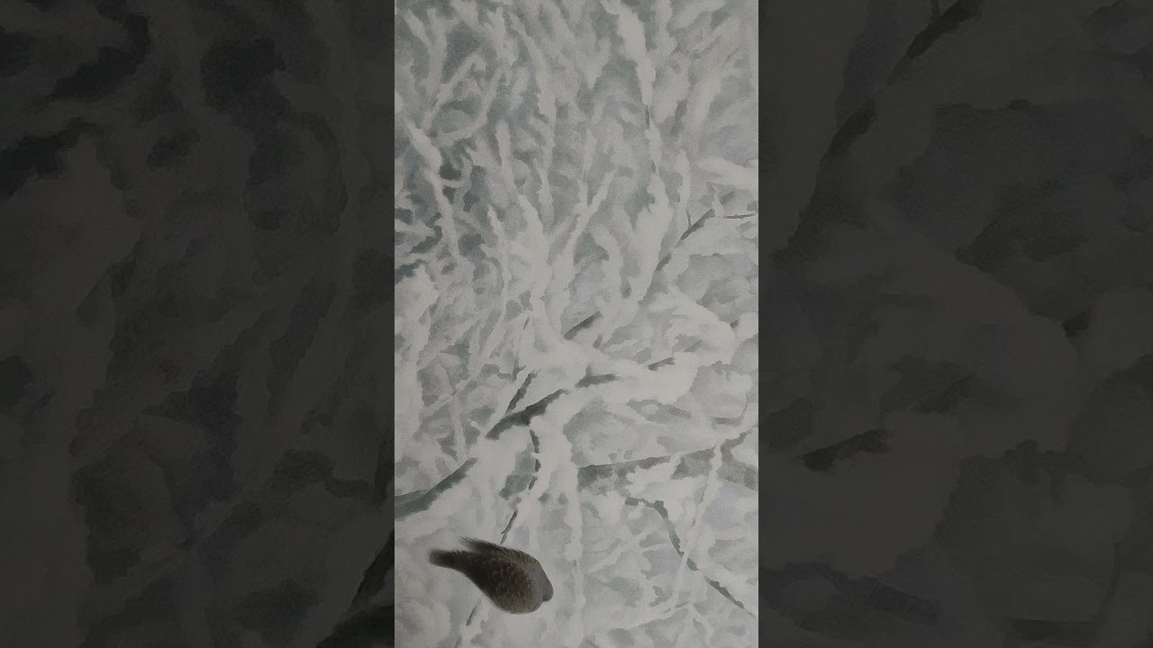 黙示録の解読14〙エドガー•ケイシー#スピリチュアル朗読 - YouTube