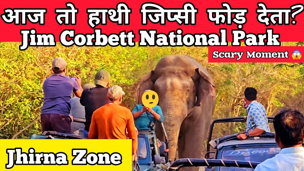 आज तो हाथी जिप्सी फोड़ देता?| Jim Corbett National Park | Scary Moment | Jhirna Zone 