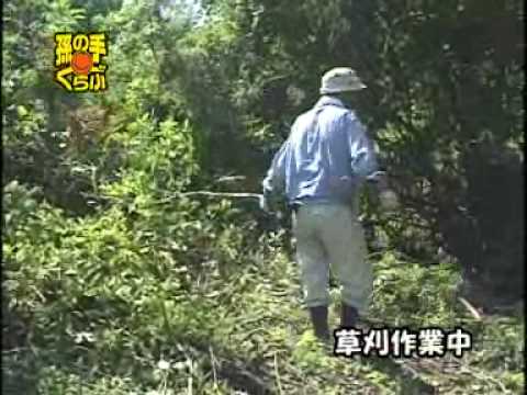 孫の手ブルーベリー園の紹介動画サムネイル