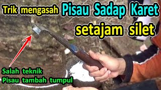 Cara mengasah pisau sadap karet yang benar - Cara asah pisau sadap karet - asah pisau toreh getah