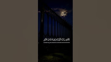 ما تيسر من سورة آل عمران بصوت الشيخ ماهر المعيقلي               #سورة_آل_عمران  #ماهر_المعيقلي #قران