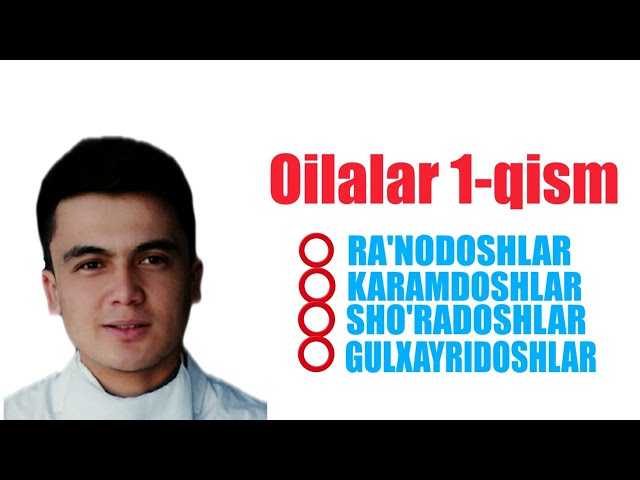 Biologiya  Botanika Oilalar 1-qism | Биология Ботаника Оилалар 1-Кисм class=