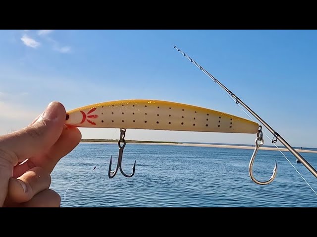 How to Rig a BKD Lure and Choose Colors 