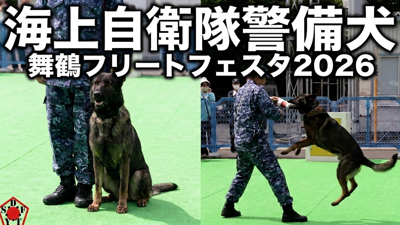 警備犬訓練展示 海上自衛隊 舞鶴地方隊 舞鶴フリートフェスタ2026