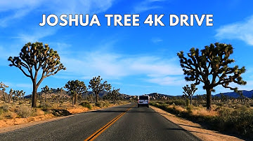Joshua Tree National Park 4K Scenic Drive | California Drive Through