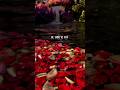 Dil Tainu De Dita вќЈпёЏ Hass Hass вќЈпёЏ Song Lyrics вќЈпёЏ Whatsapp Status вќЈпёЏ Diljit Dosanjh X Sia вќЈпёЏ Ytshorts Dil Tainu De Dita вќЈпёЏ Hass Hass вќЈпёЏ Song Lyrics вќЈпёЏ Whatsapp Status вќЈпёЏ Diljit Dosanjh X Sia вќЈпёЏ Ytshorts