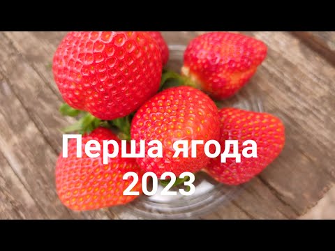 Перехід на біопрепарати