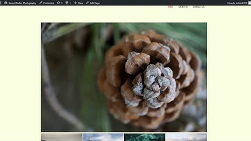 Easily Create Beautiful Photography Websites in BoldGrid