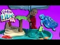 Toys Are Us Sand And Water Table