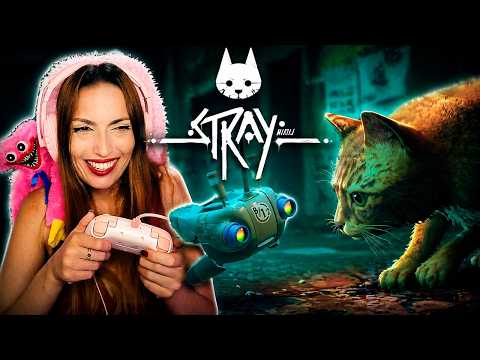 EU TENHO UM AMIGO! ♥ | Stray