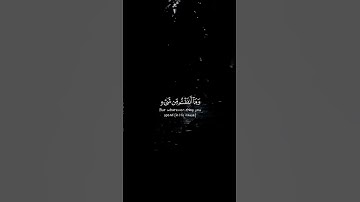 قل ان ربي يبسط الرزق لمن يشاء ويقدر #قرآن #قران_كريم #آيات #راحة_نفسية #تلاوة_خاشعة